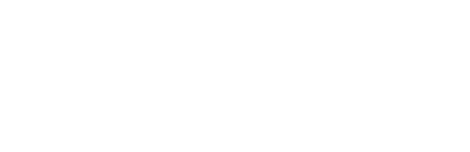 visa white