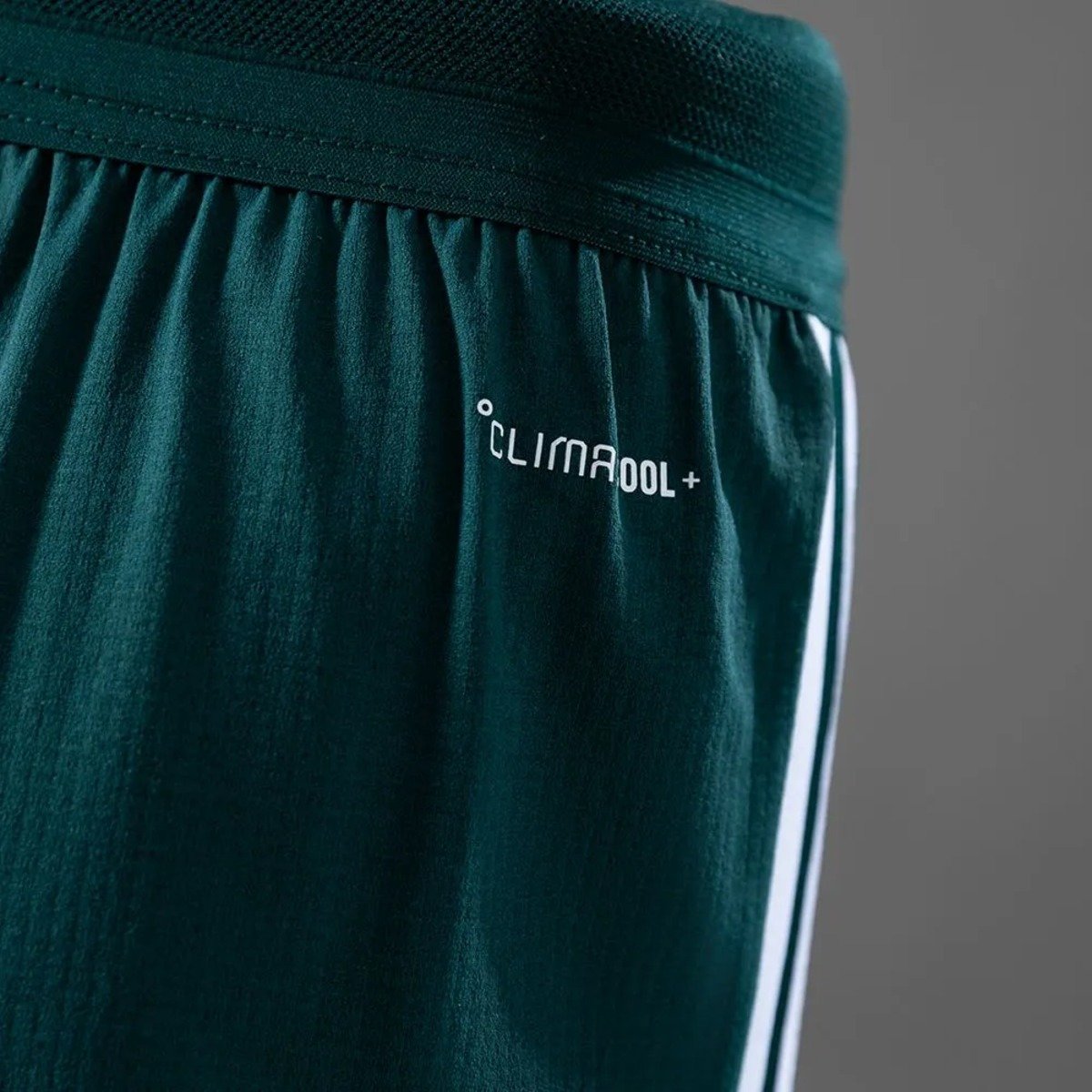 saudi arabia 2026 home player version shorts 006 saudi arabia 2026 home player version shorts 006